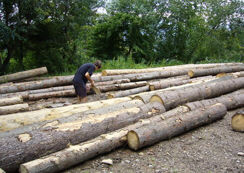 Technológ lesníckej výroby