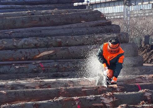 Pracovník manipulácie s drevom v lesníctve