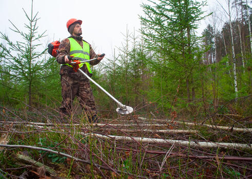 Pracovník pri údržbe lesných stavieb v lesnom hospodárstve